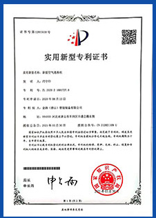 專利技術(shù)